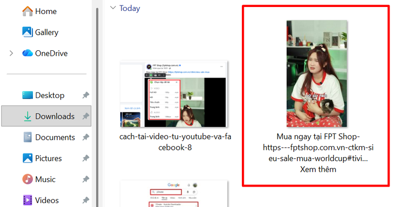 cach-tai-video-tu-youtube-va-facebook-9.png