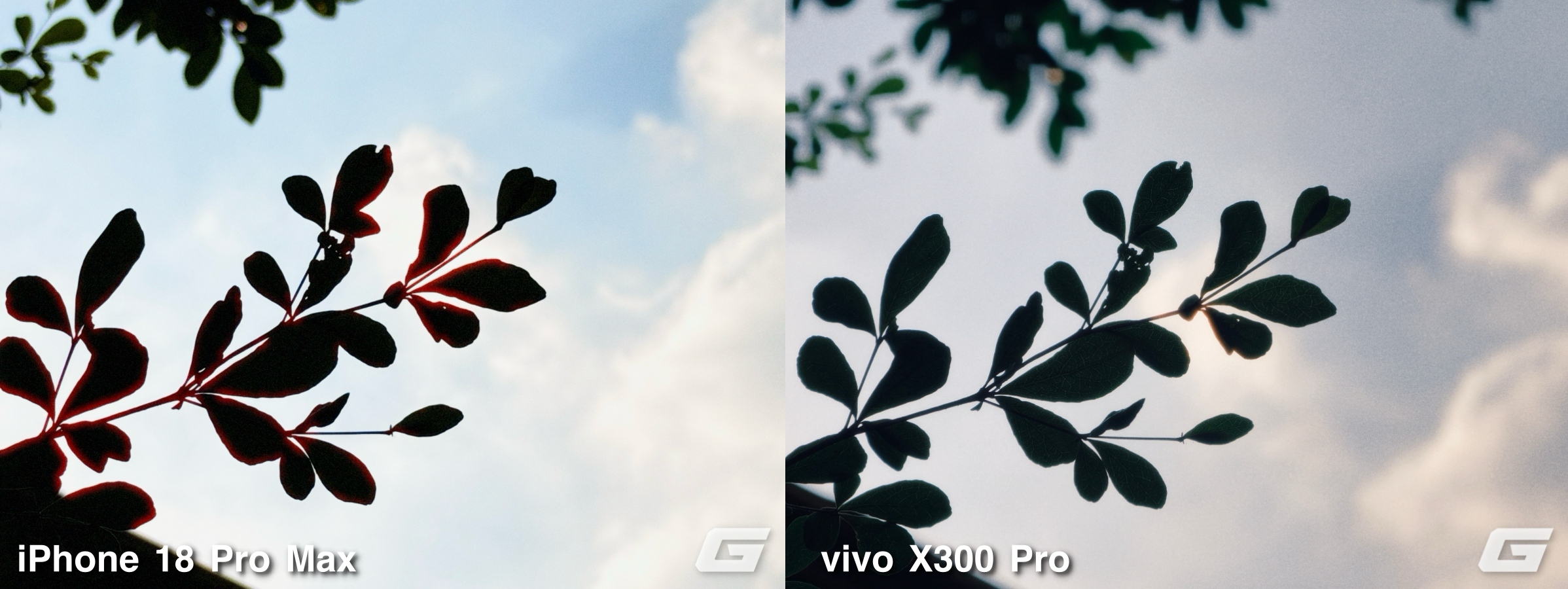Tôi thử bộ lọc màu mới trên iPhone 18 Pro Max, so với vivo X300 Pro: Đều là giả lập film nhưng ảnh ra khác hoàn toàn - Ảnh 15.